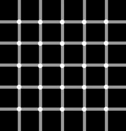 How Many Black Dots?